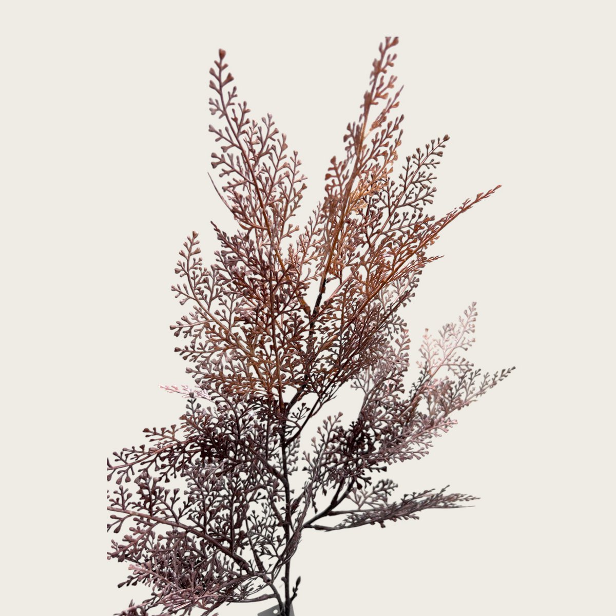 Perzische bladeren | Zijden kunstbloem | Lengte 96cm  1pcs