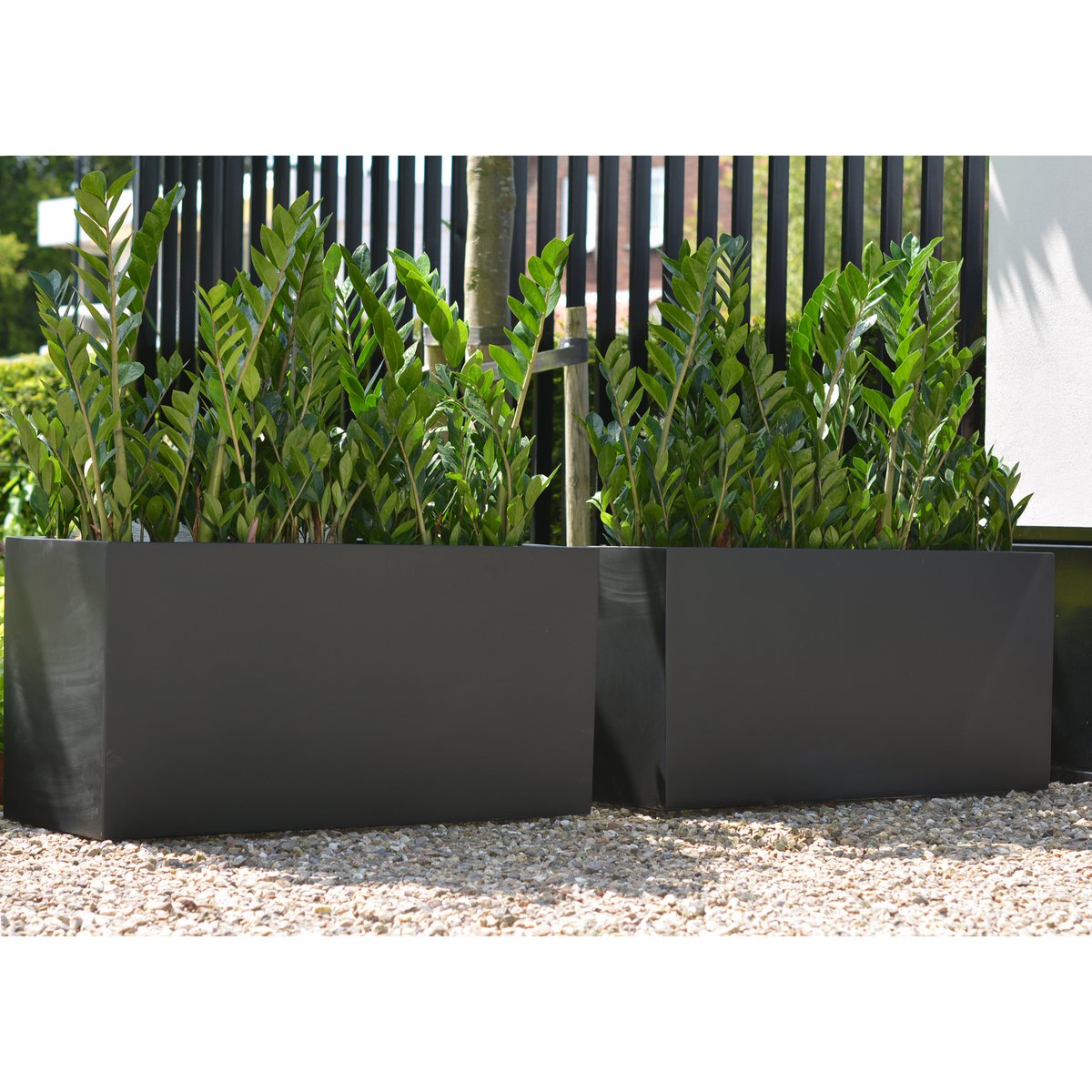 Plantenbak - Indiana black