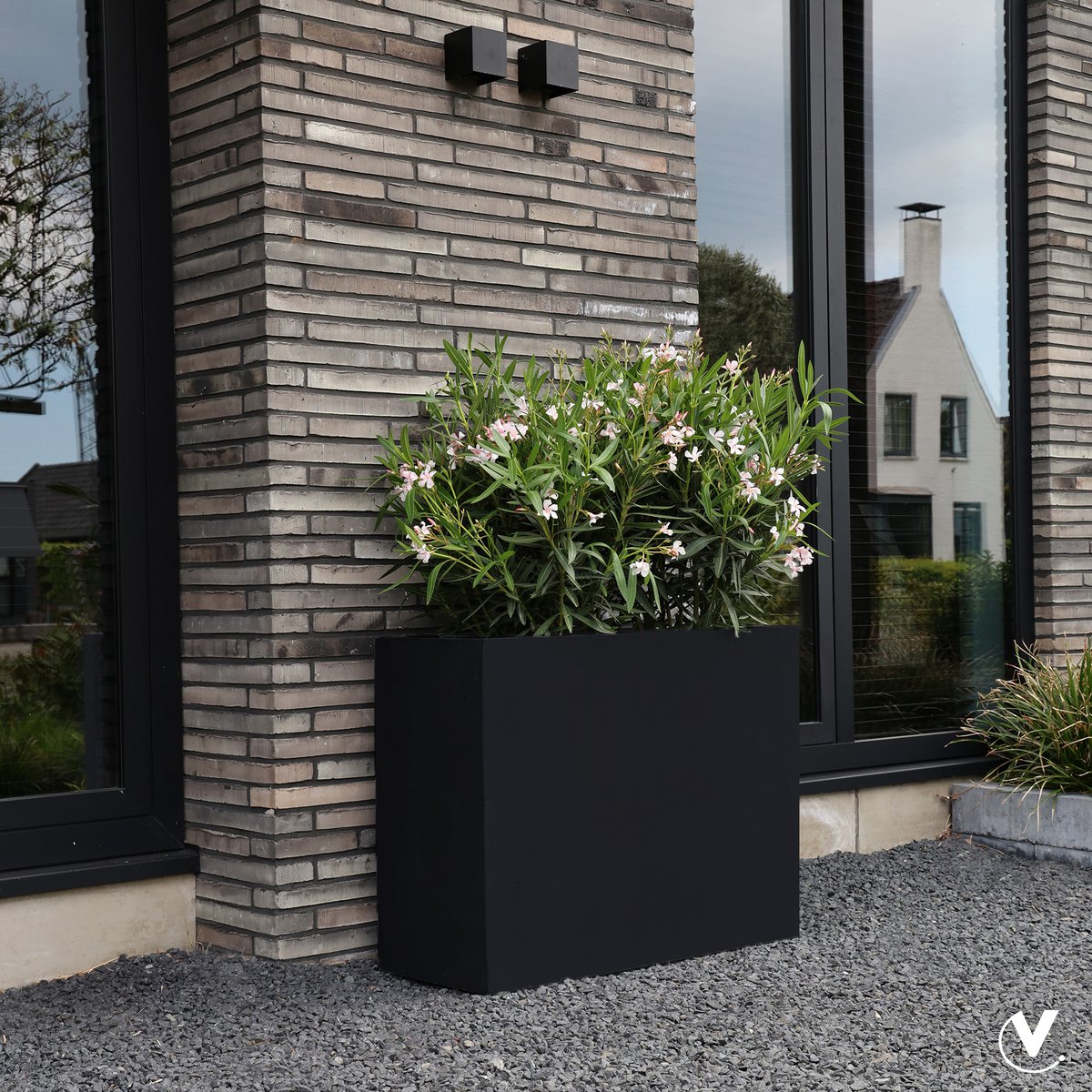 Plantenbak - Indiana black