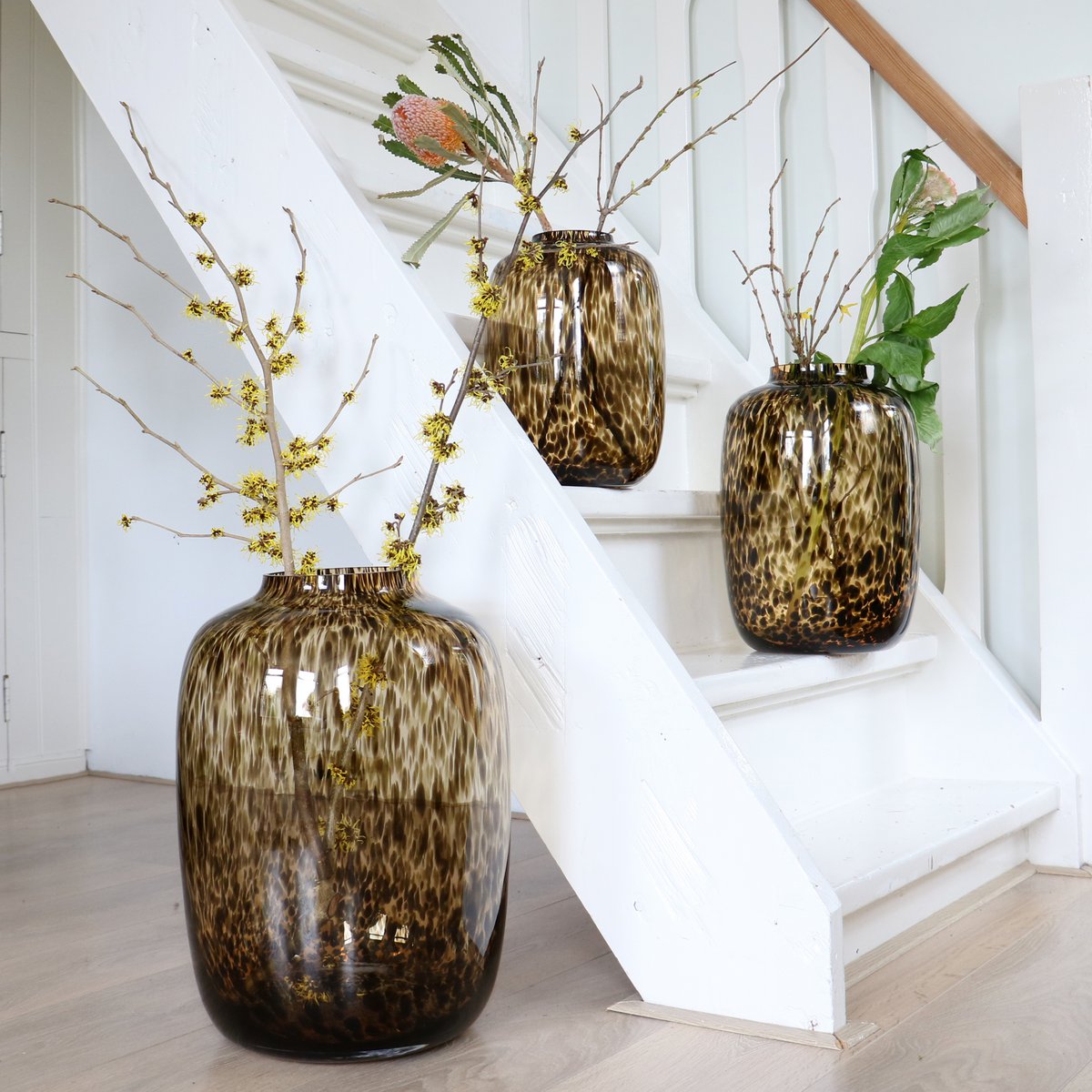 Vaas - Artic Cheetah